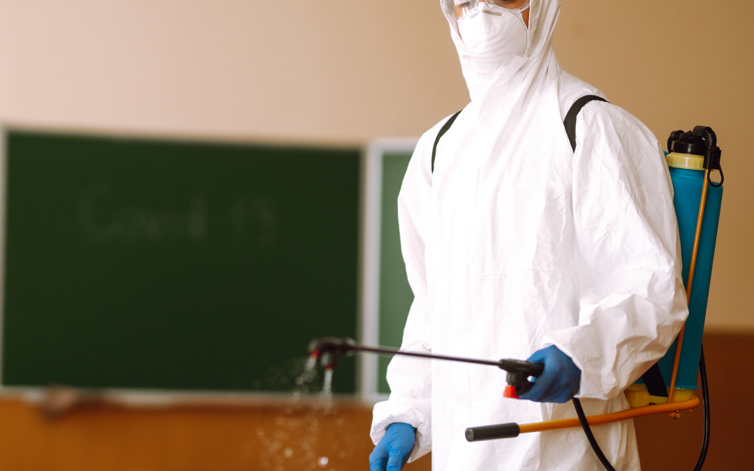 ¿Cuál es el papel de las autoridades educativas, las escuelas y las familias en la pandemia?