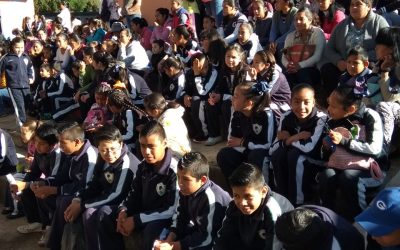 Abandono escolar en la educación primaria en México: una problemática multifactorial.